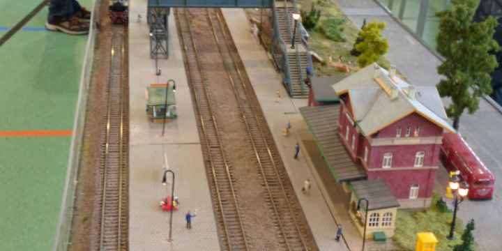 IMG_20221112_105158_348