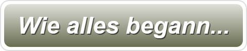 Wie alles begann...